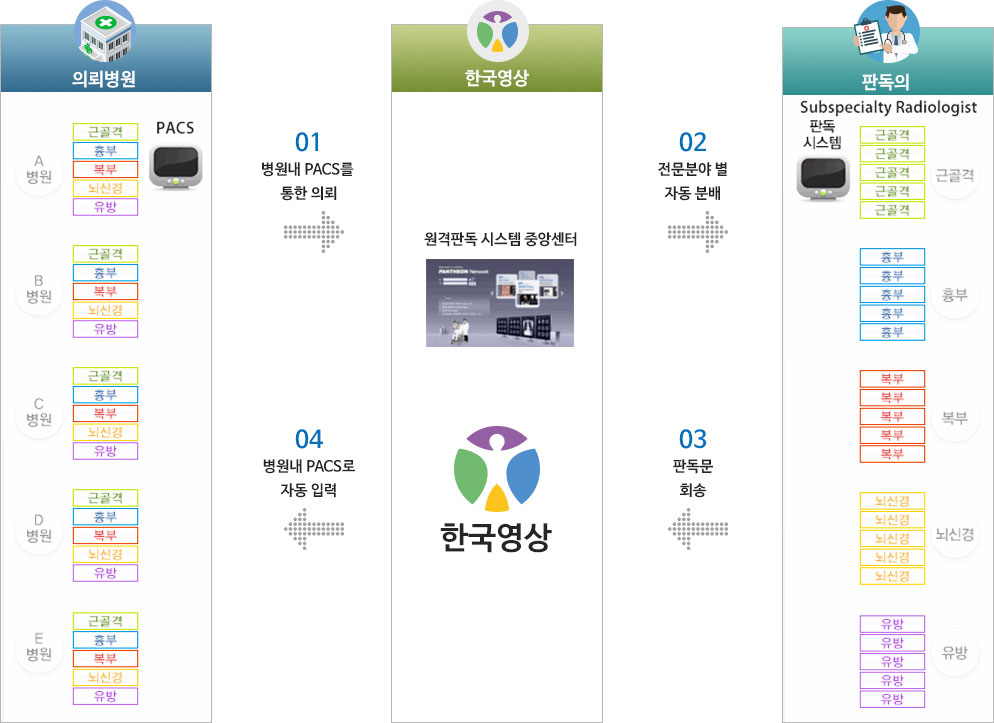 전문분야별 영상판독 과정